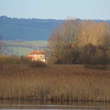 No 96 Chapel Lane - Self Contained Cottage In The Heart Of Butleigh Exteriör bild