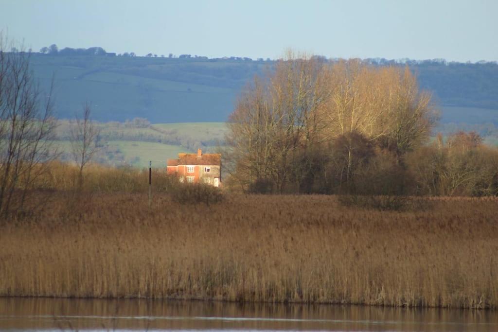 No 96 Chapel Lane - Self Contained Cottage In The Heart Of Butleigh Exteriör bild